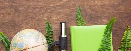 Visa Options for Professionals with Extraordinary Ability