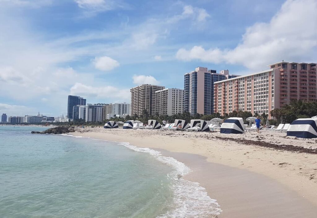 Picture of Community of Florida by Relis Law